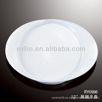 Placas especiales de porcelana blanca alta